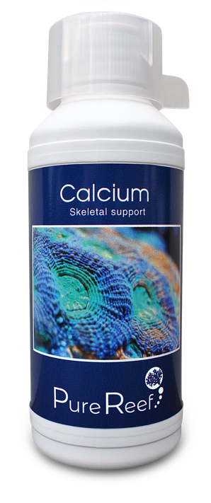 Calcium Skeletal development