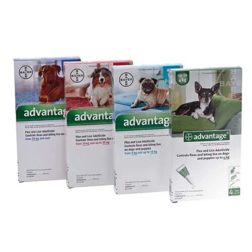 Advantage Dogs treatment for fleas and biting lice (Pack of 4