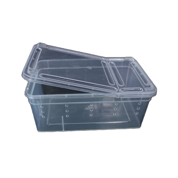 Clear stackable Box with holes