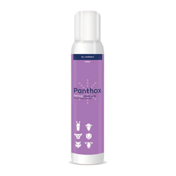 Panthox Anitbiotic Spray