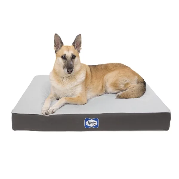 Sealy Defender Series Orthopaedic Dog Bed