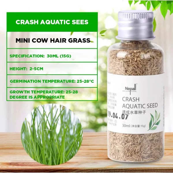 Crash Aquatic Seed - Mini Cow Hair Grass 15g