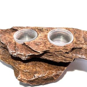 Magnetic gecko feeder bowls Ledge