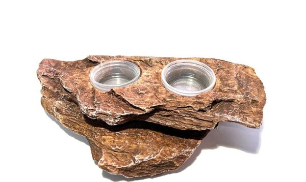 Magnetic gecko feeder bowls Ledge