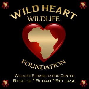 Wild Heart Foundation Logo