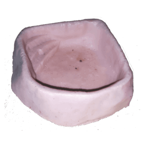 Rock Pool Feeder (L)