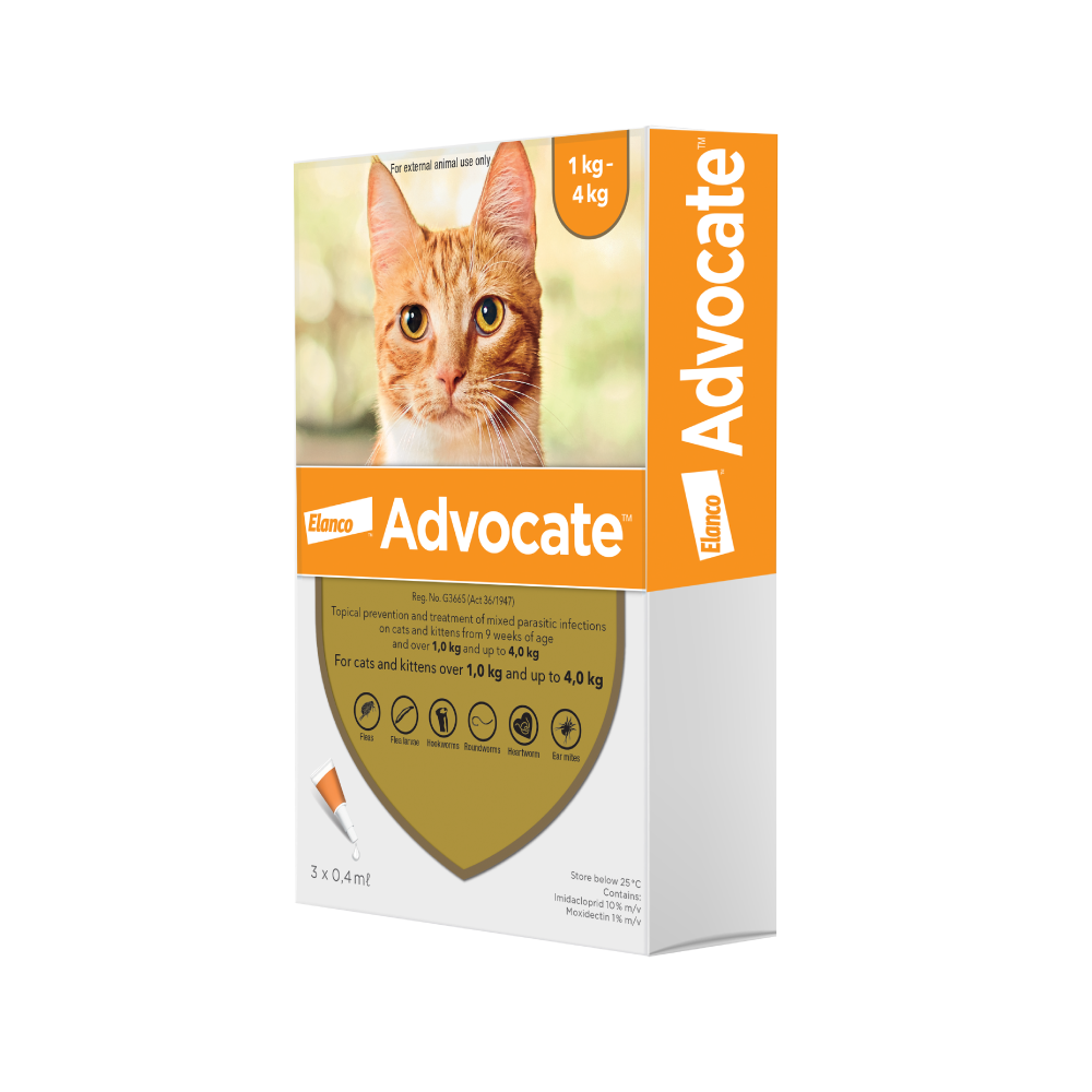 Advocate Spot On Cat