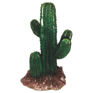 Mexico Cactus Small