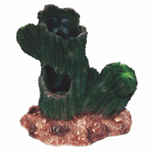Cactus Tree