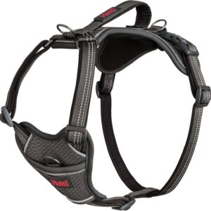 HALTI Anatomy Dog Harness