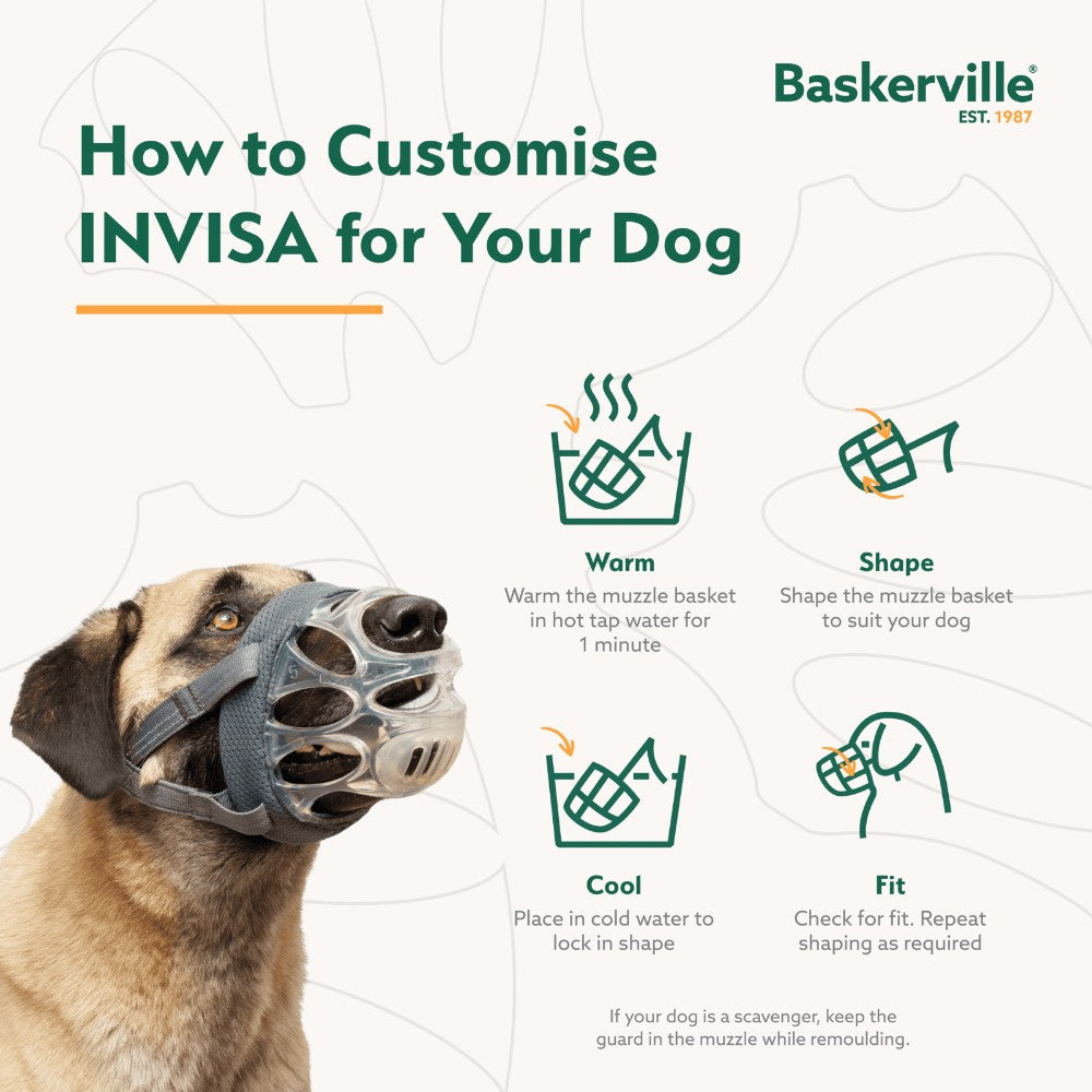 Company of Animals Baskerville Invisa Muzzle