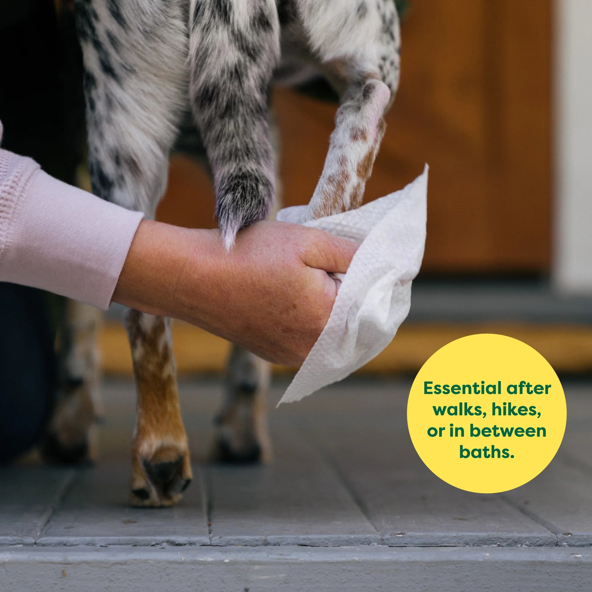 Earth Rated Hypo-Allergenic Dog Wipes for Paws, Body and Bums 100pk