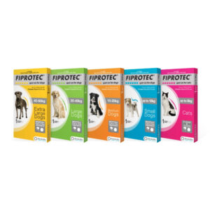 Fiprotec Spot On Dog
