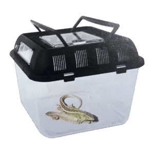 PLASTIC PET CARRIER NO10 (200mm x 200mm x 170mm)
