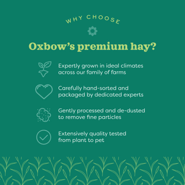 Oxbow Oat Hay