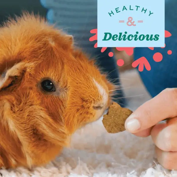 Oxbow Simple Rewards Veggie Treats