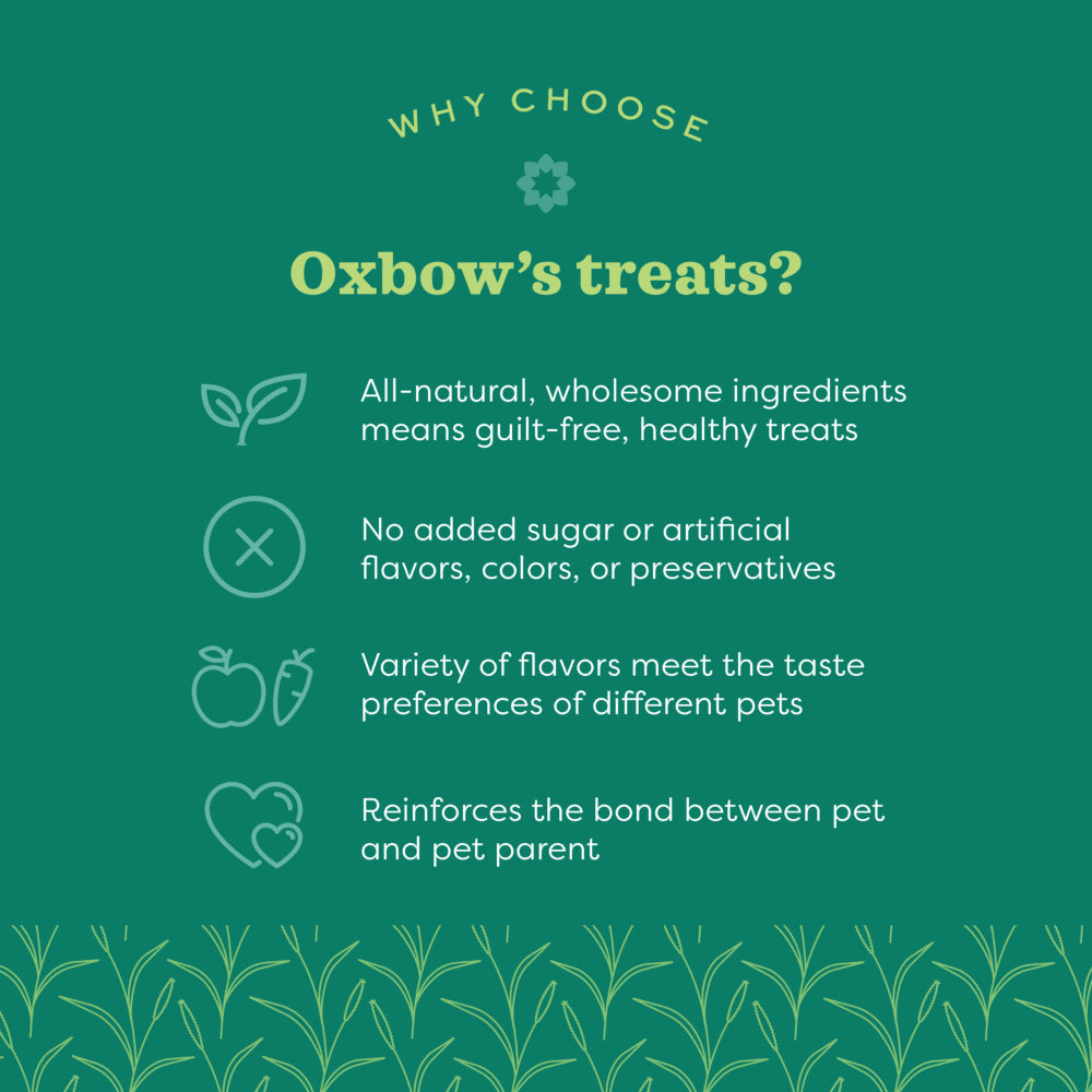 Oxbow Simple Rewards Veggie Treats