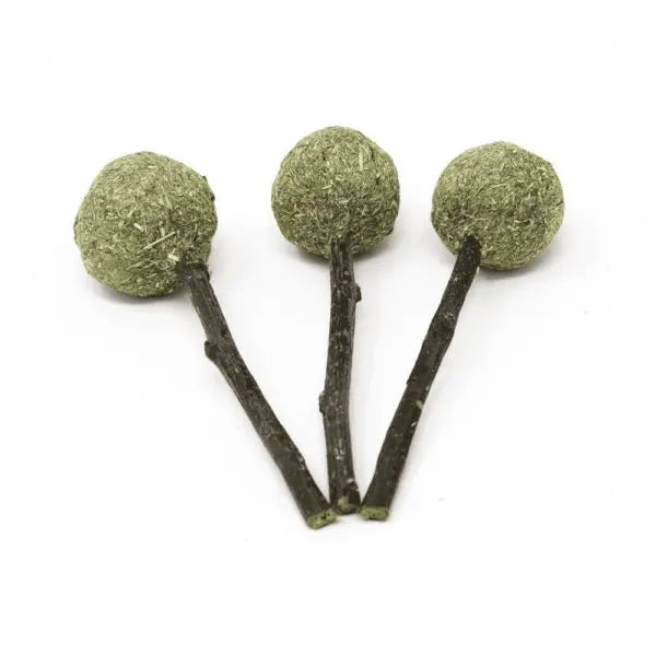 Oxbow Enriched Life Timmy Pops