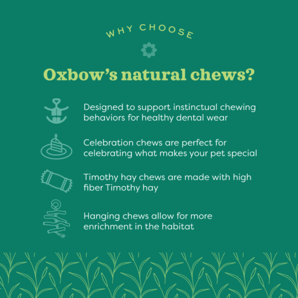 Oxbow Enriched Life Celebration Cupcake