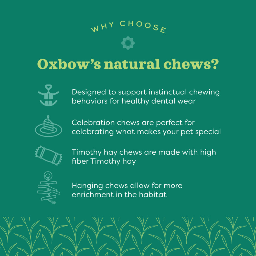 Oxbow Enriched Life Ox Blocks