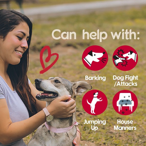 Company of Animals Pet CorrectoSpray