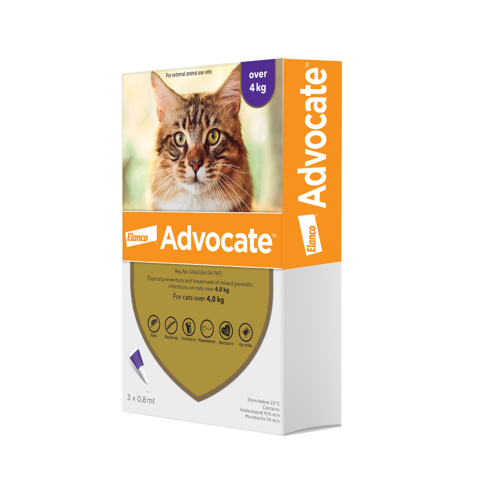 Advocate Spot On Cat