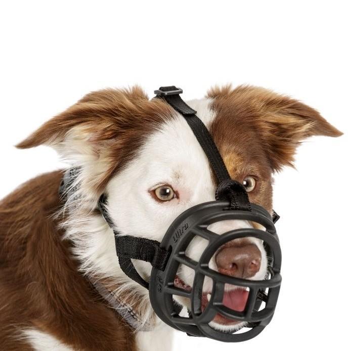 Company of Animals Baskerville Ultra Muzzle