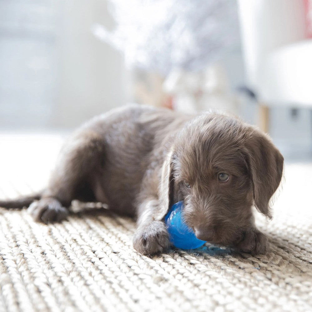 JW Puppy Sloth Squeak-ee Ball