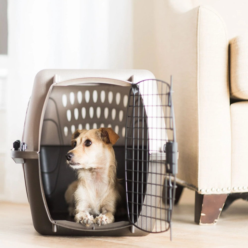 Petmate 2-Door Top Load Carrier
