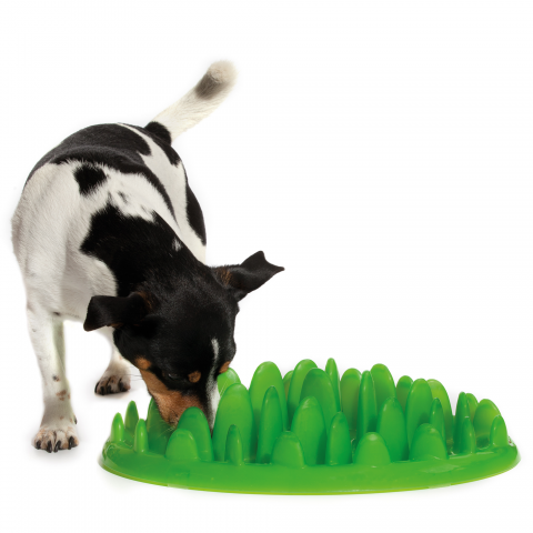 Company of Animals Green Slow Feeder