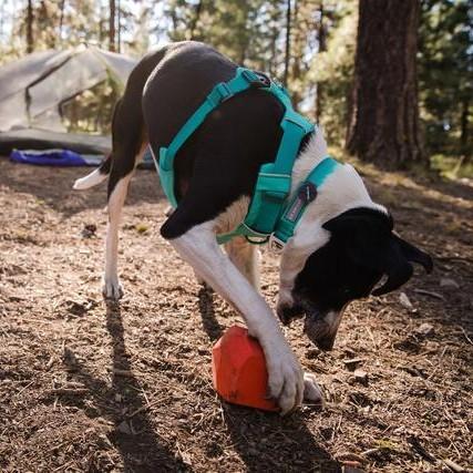 Ruffwear Front Range Collar