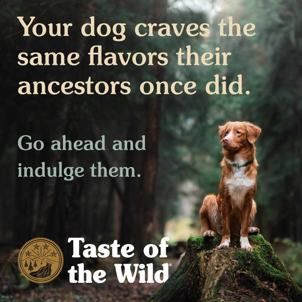 Taste of the Wild Canine Pacific Stream Puppy Formula with Smoked Salmon