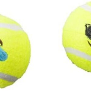 Tennis ball emoji sunglass 2.5inch