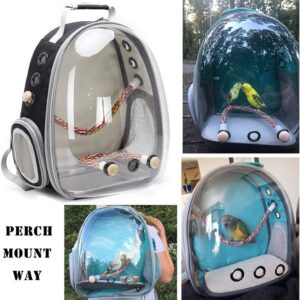 Bird Bag black bubble window with perch and bowls
