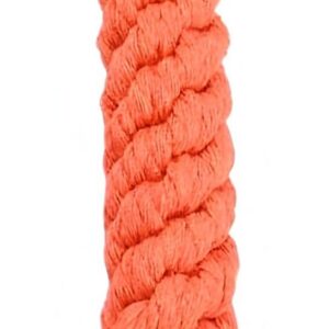 Monster Rope Toy #4