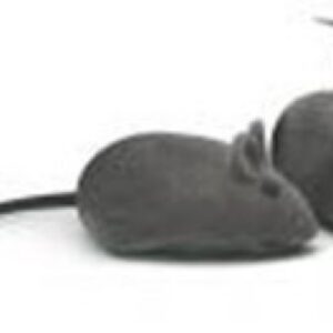 Cat Toy grey mouse
