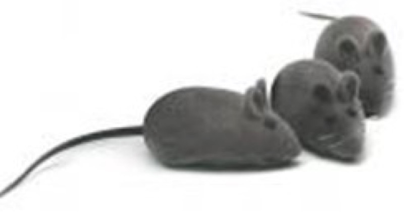 Cat Toy grey mouse