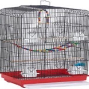 Bird Cage 6010