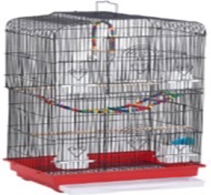 Bird Cage 6010