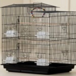 Bird Cage 6011