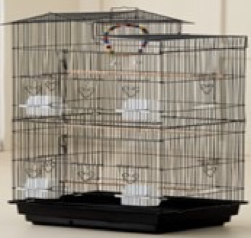 Bird Cage 6011