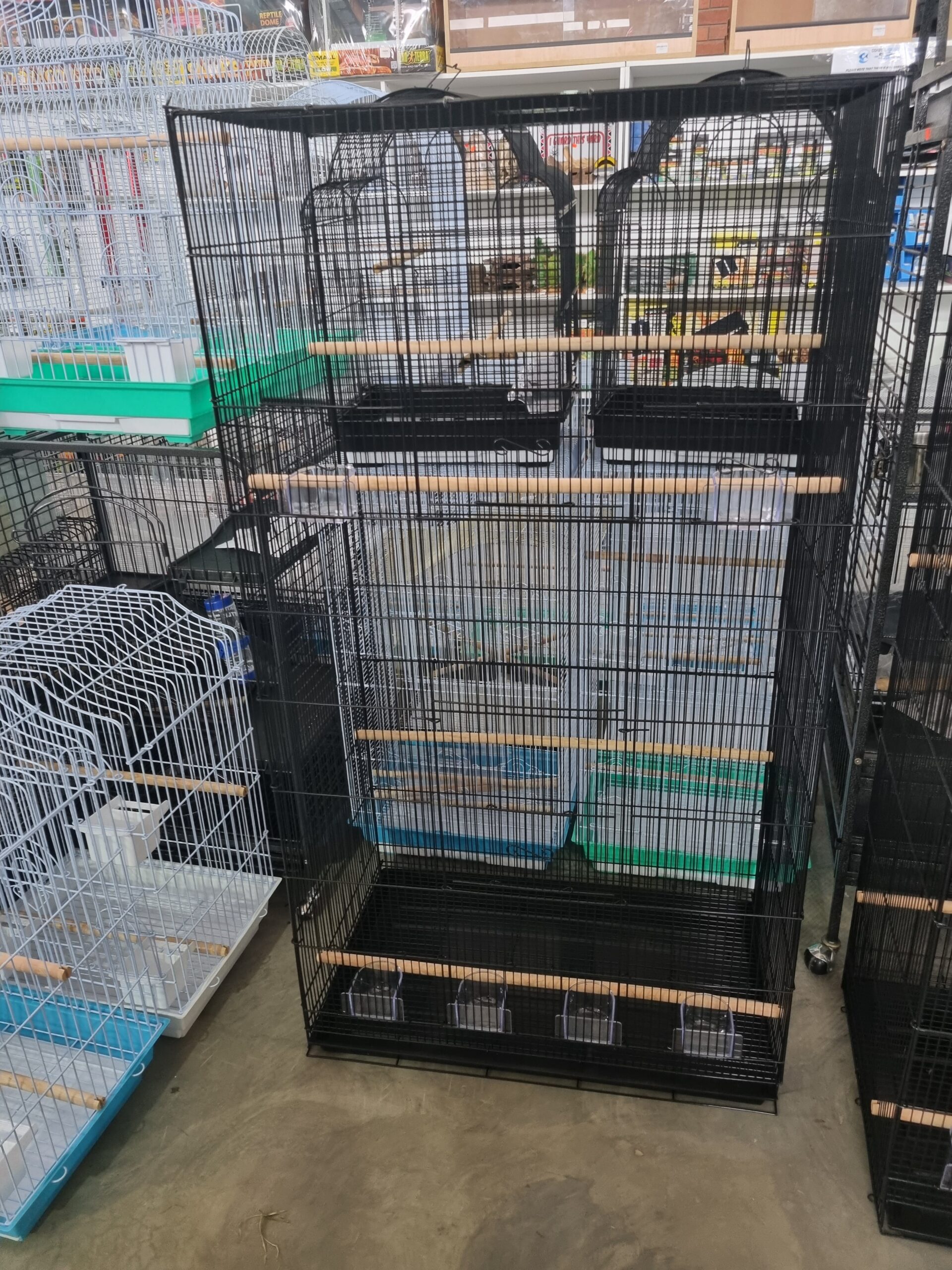 Bird Cage
