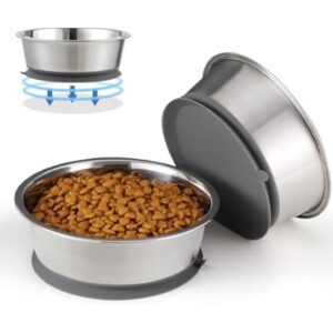 Bowl with Suction Cup