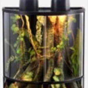 Resun Terrarium Halfmoon