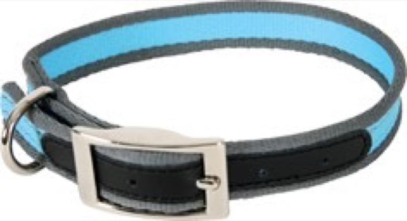 Zolux Summer Collar Blue