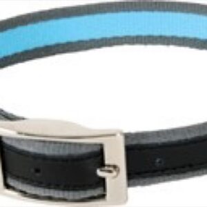 Zolux Summer Collar Green